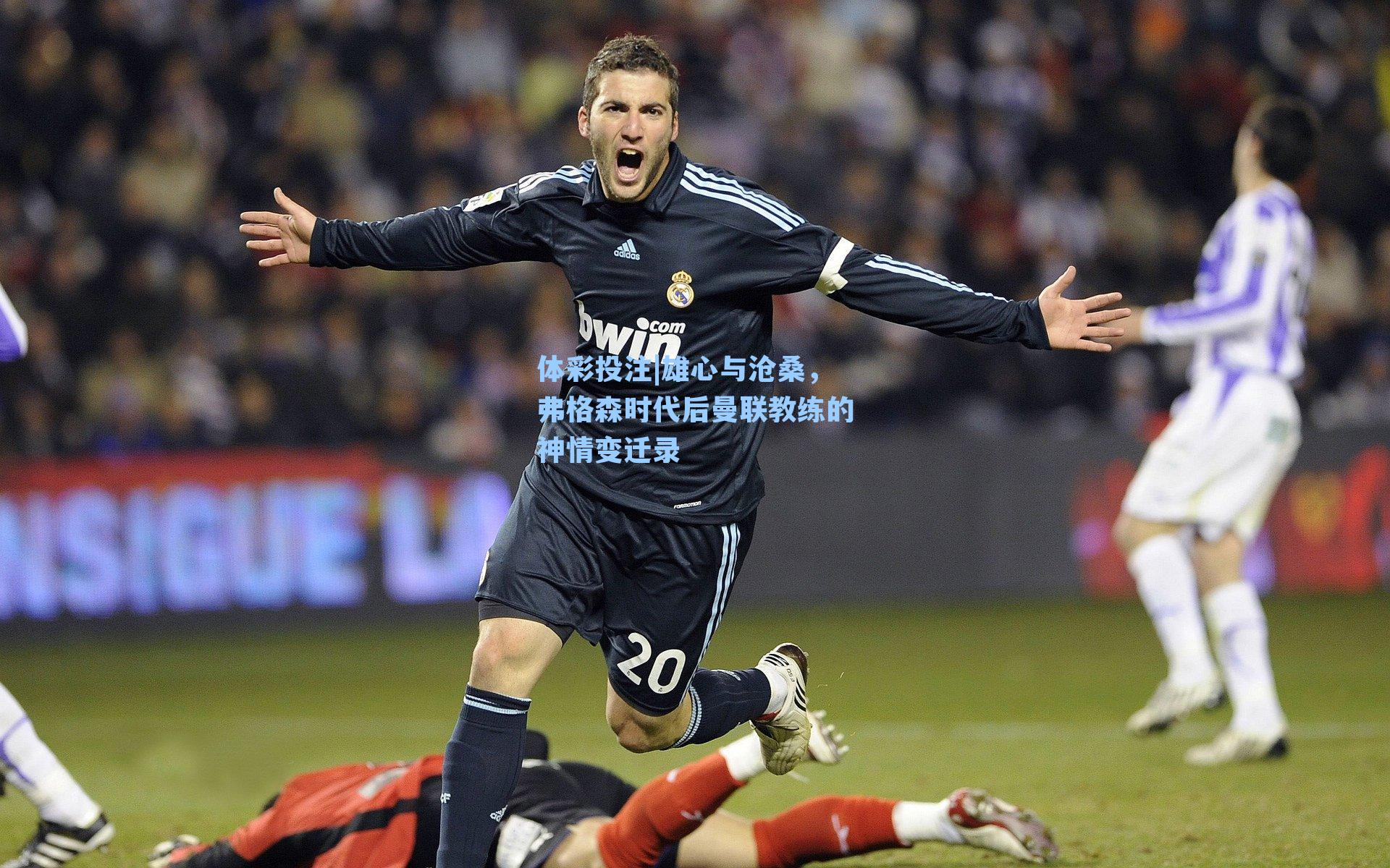 雄心与沧桑,弗格森时代后曼联教练的神情变迁录